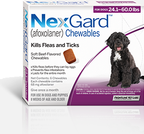 prescription tick medication for dogs