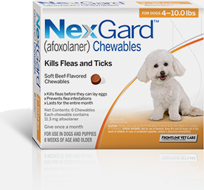 safest flea control for dogs