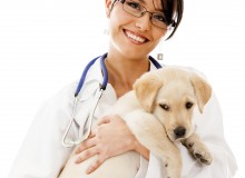 Vet_w_Puppy