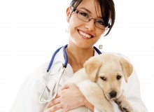 Vet_w_Puppy