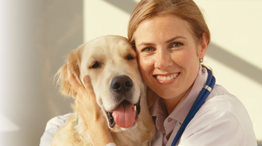 Dog with owner at a 1st Care vaccination clinic